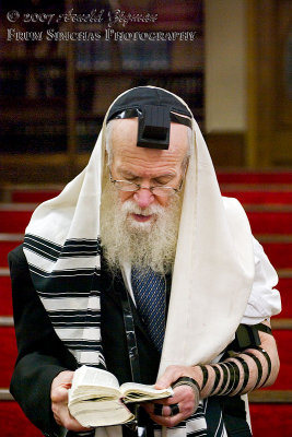 Tzvi