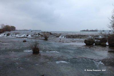 IMG_9094.jpg
