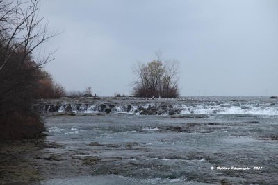 IMG_9092.jpg