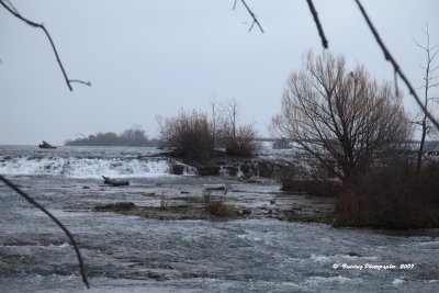 IMG_9089.jpg