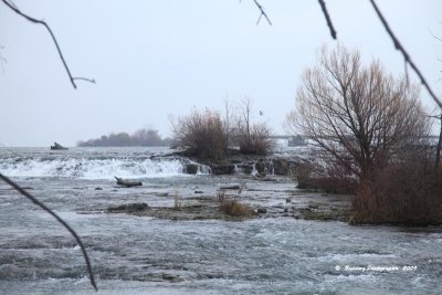 IMG_9088.jpg
