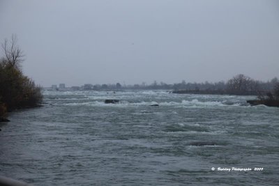 IMG_9079.jpg