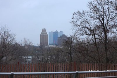 IMG_9074.jpg