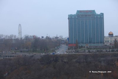 IMG_9062.jpg