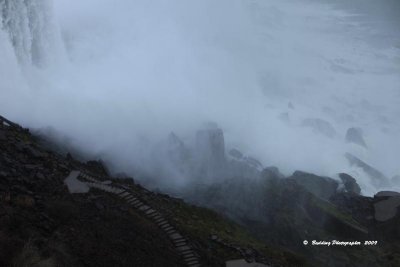 IMG_9056.jpg