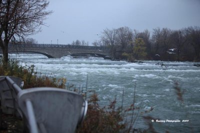 IMG_9050.jpg