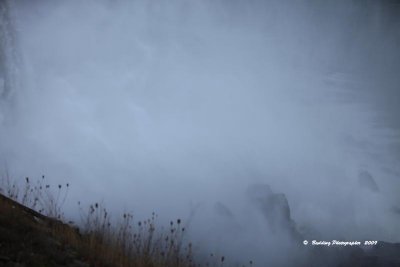 IMG_9045.jpg