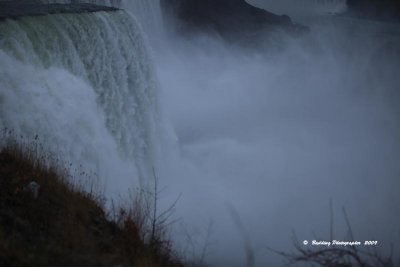 IMG_9044.jpg