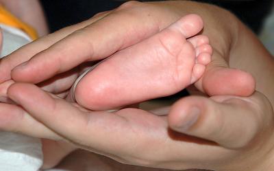 g3/87/629287/3/55587728.Hands100.jpg