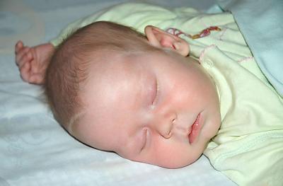 g3/87/629287/3/55587735.Nat130.jpg