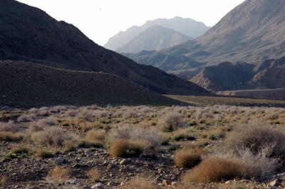 226_Tabas.jpg