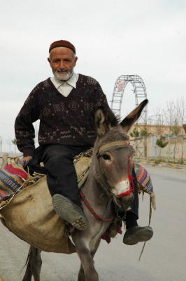 g3/87/638287/3/57156818.273_Mashad.jpg