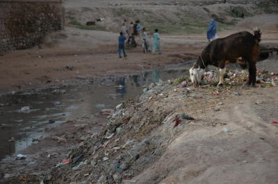 067_Herat.JPG