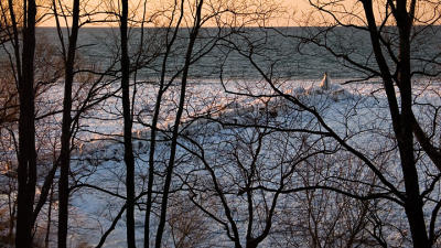 g3/87/640487/3/56967945.branches_ice_sm.jpg