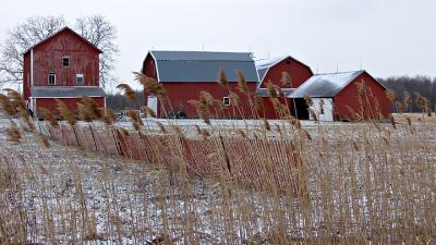 Farm on a Cold Stormy Day