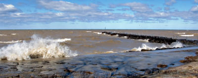 g3/87/640487/3/57350882.shorewave.jpg