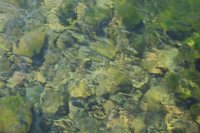 lake Ontario lake bottom