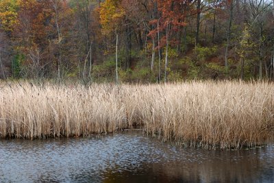 Waters Edge