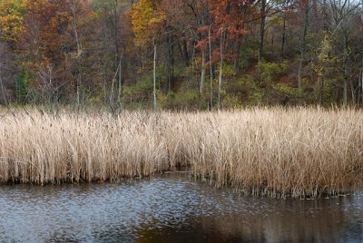 Waters Edge