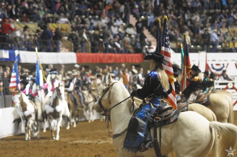 Flags of Texas
