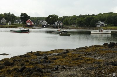 Lobster Boats