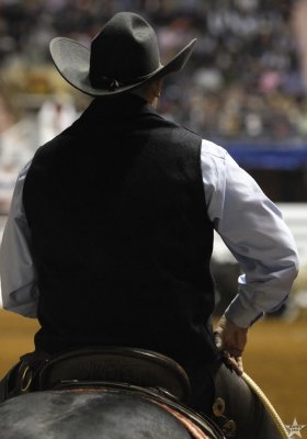 Stock Show 2010