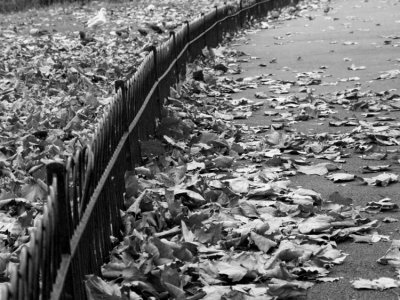 Signs of autumn
