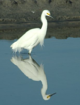 mirror.jpg