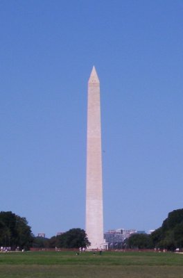 reaching for the sky.jpg