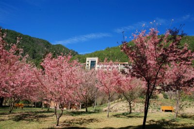 IMG_3822_1.jpg