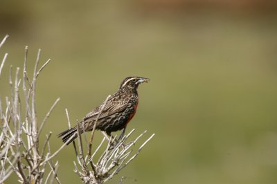 IMG_0848_1.jpg