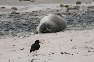 IMG_1105_1.jpg