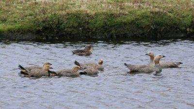 IMG_1173e_1.jpg