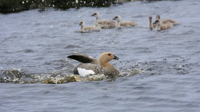 IMG_1214e_1.jpg