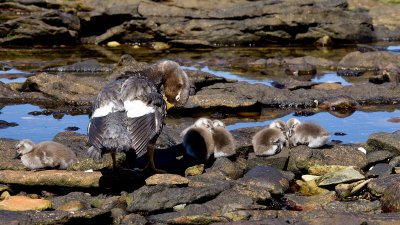 IMG_5139e.jpg