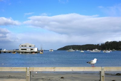 Oban