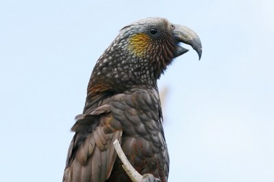 g3/87/694187/3/123718435.0KJAFKl7.jpg