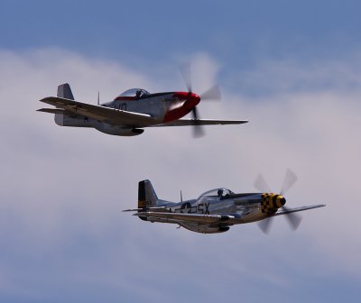 P51's