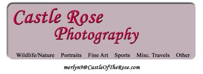 Front_Banner002a_SM.jpg