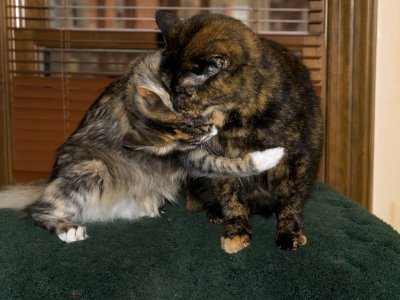 Everybody needs a hug!