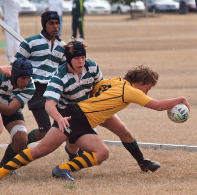 Rugby-3206041.JPG