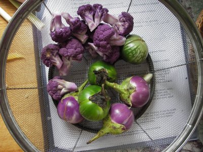 Round eggplants and purpleflower