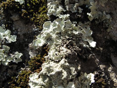 20090509_ExploreMed_062.jpg