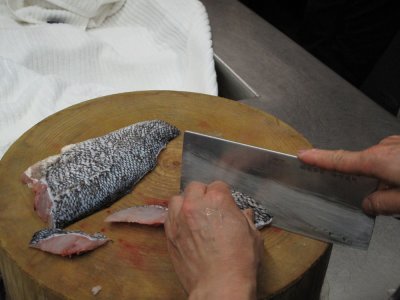 Fish in the Shape of a Frog