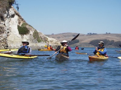 Lisa 20090712_Tomales_018.jpg