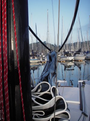 Took off the dripping wet sailcover 012.jpg