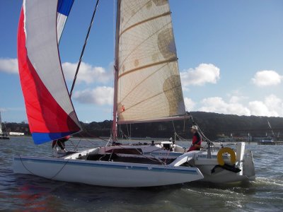 Seabird 186.jpg