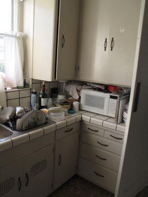 Right side of sink, corner cabinets with hard-to-access corner 20091115_019.jpg