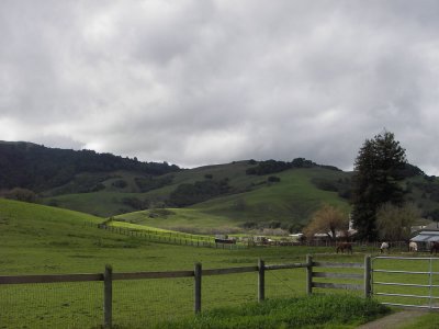 Ranch in green springtime 015.jpg