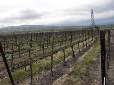 20100410_Cinderella_037.jpg
